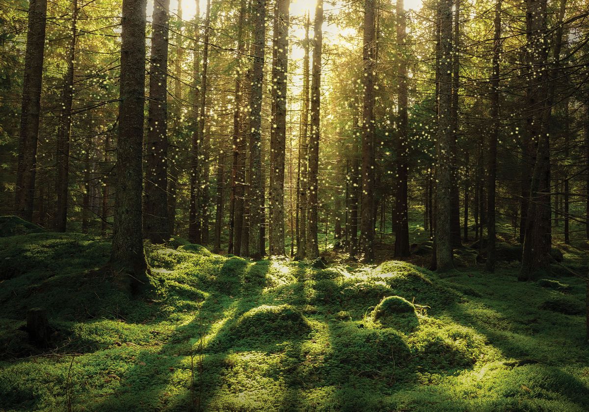 Basecamp sales onboarding