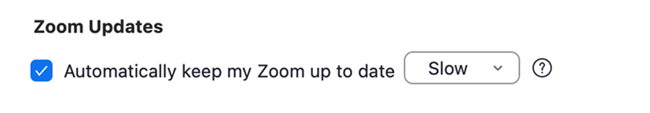 Zoom Updates (before): checkbox and dropdown